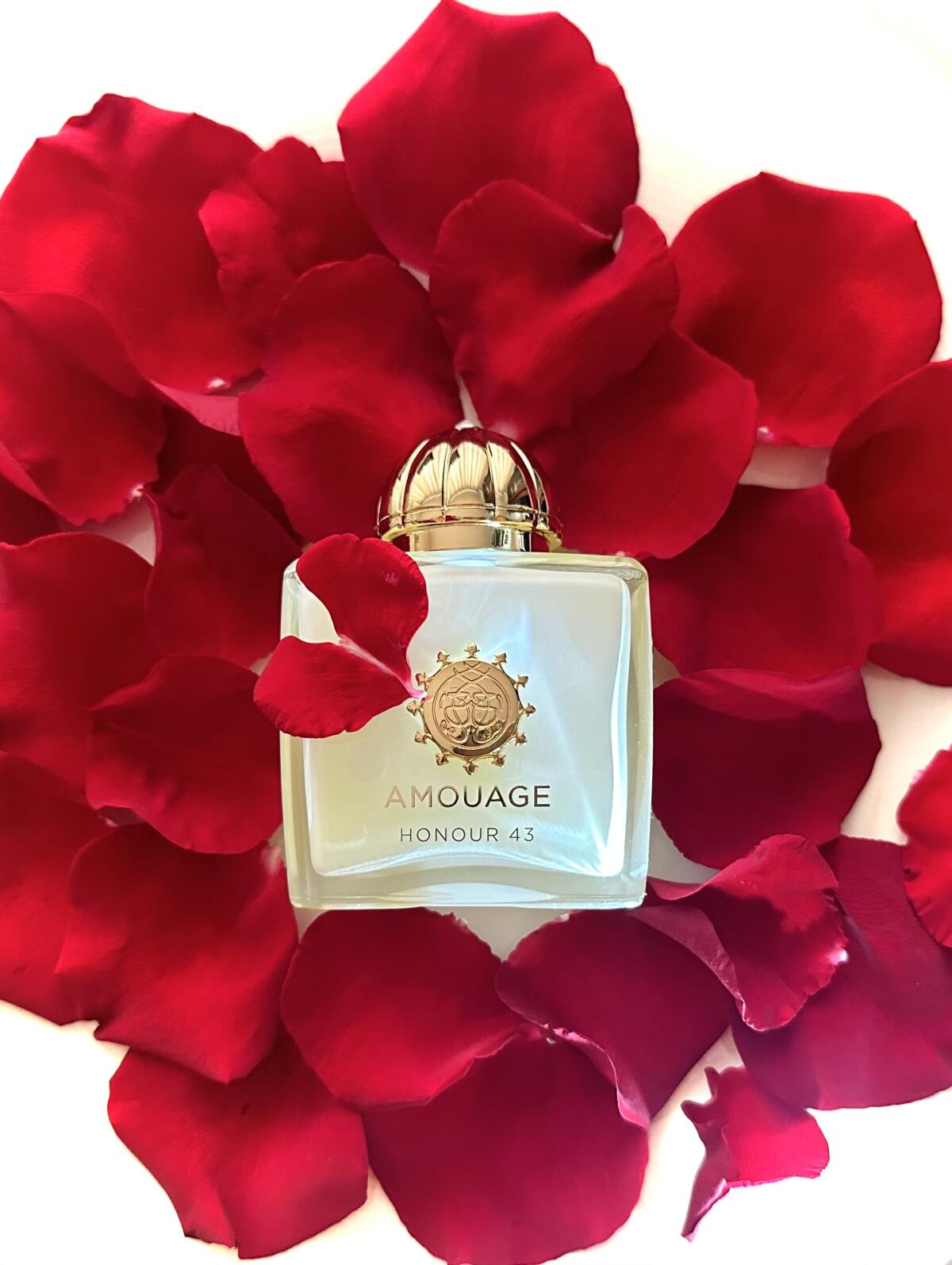 Amouage Honour 43 Woman Extrai – Perfume Fragrance Families recenzja i cena